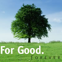Community Foundation of Ottawa website